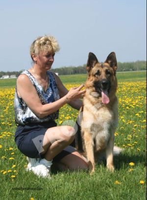 trish wylie